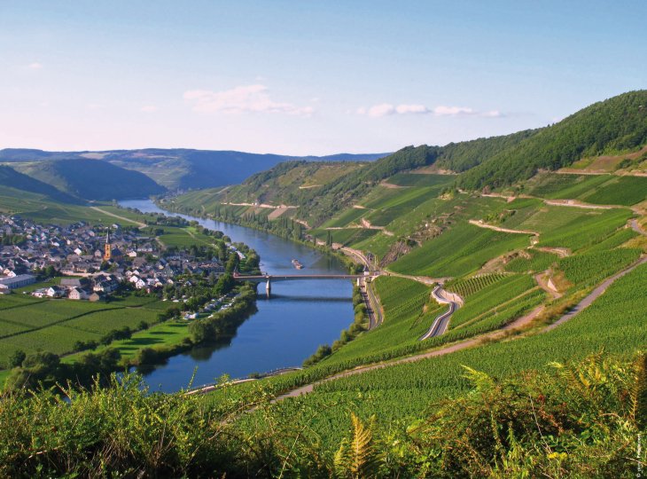 Blick auf Trittenheim an der Mosel © pics - Fotolia.com